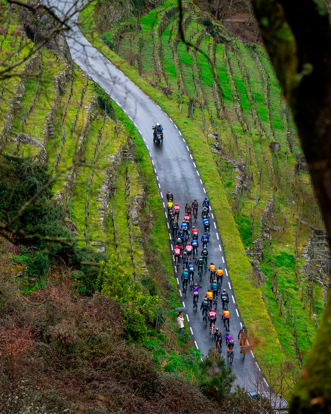 Desarrolla volverá a rodar en unos días junto a @ograncaminocycling, la gran cita con el ciclismo internacional que recorrerá algunos de los parajes más bellos de Galicia entre el 14 y el 18 de abril.

A través de Life+, nuestro programa de responsabilidad social, daremos apoyo como uno de los patrocinadores principales a una prueba que reunirá a grandes figuras del pelotón mundial, como @adamyates7, @pablo__castrillo o @alessandro_pinarello, entre otros muchos.

Galicia volverá a convertirse así en el epicentro del ciclismo durante cinco días de emoción, esfuerzo y superación… y en Desarrolla estamos encantados de formar parte de este camino una vez más. 

📸 @kikeabelleiraphoto 

#deporte #DesarrollaObrasyServicios #OGranCamino #OGC26